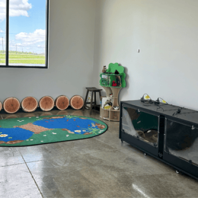 Children’s activity area with a live turtle display, nature-themed toys, and interactive learning materials in a bright, welcoming space.
